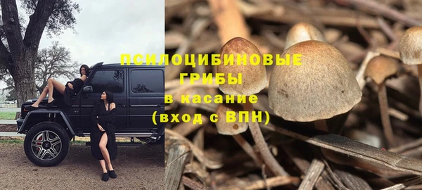 соль курить ск Верхний Тагил