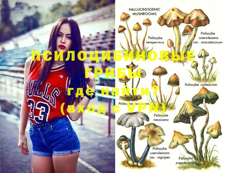 Галлюциногенные грибы Magic Shrooms Кудрово